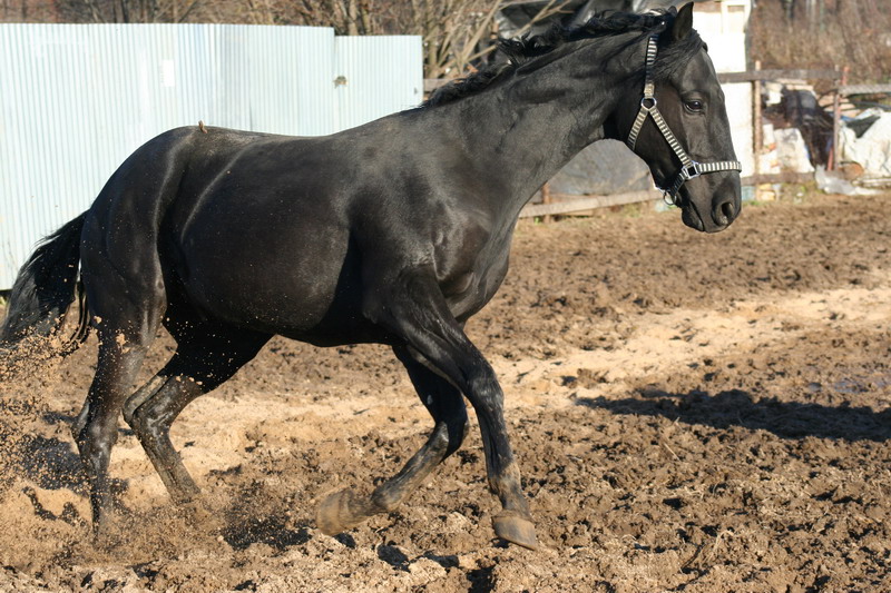 IMG_1338.jpg1.jpg"%20height="533"%20width="800